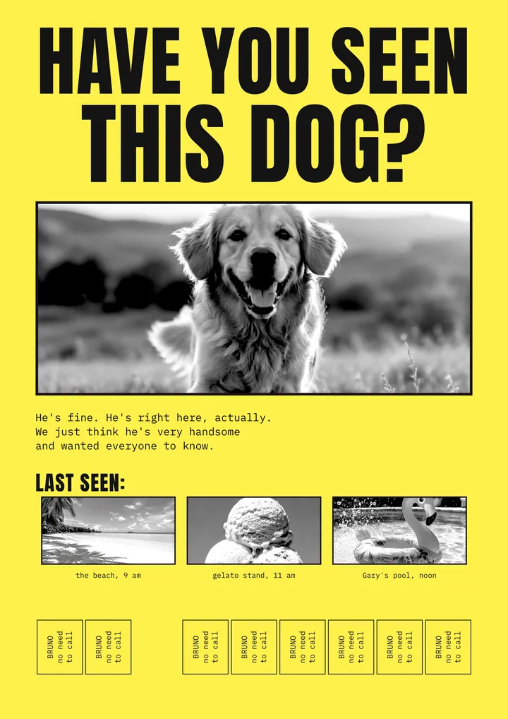 Have you seen this dog yazan sarı bir ilan, golden retriever’ın siyah beyaz fotoğrafı ve koparılabilir şeritlerle.