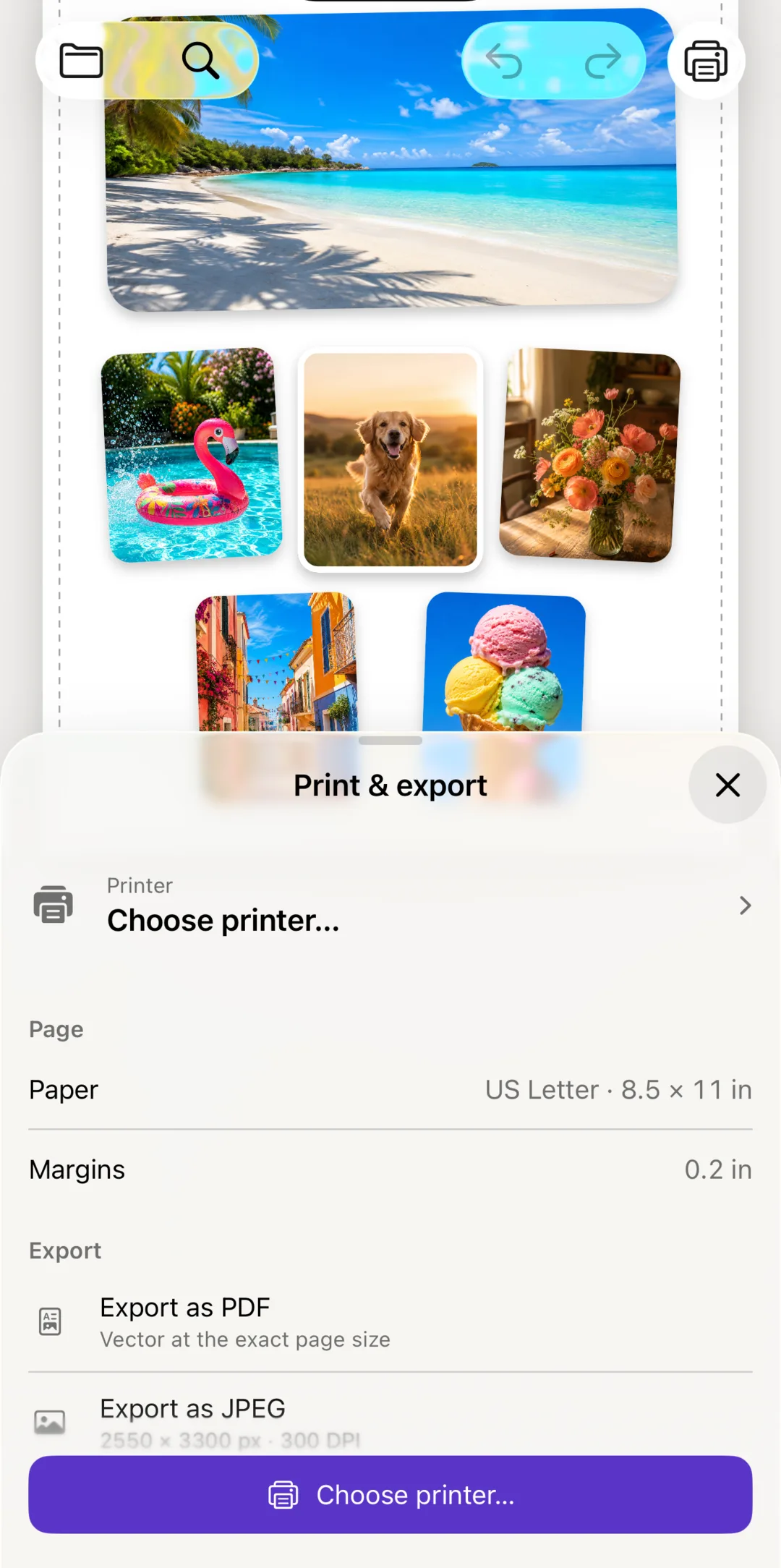 The Print tool with printer, paper and export options